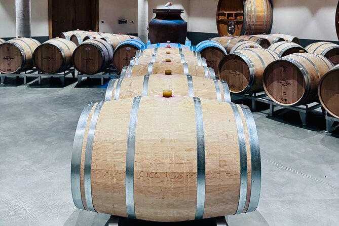 Visit Saint-Emilion and Pomerol:Vineyards, lunch and tastings included - Finishing with Pomerol or another Saint-Émilion winery
