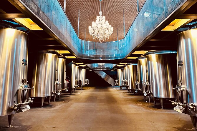Visit Saint-Emilion and Pomerol:Vineyards, lunch and tastings included - What the small group changes