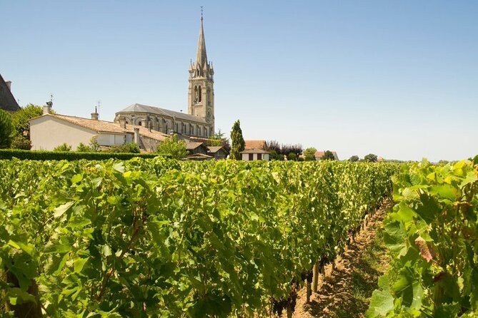 Visit Saint-Emilion and Pomerol:Vineyards, lunch and tastings included - Is the $174.53 price good value?