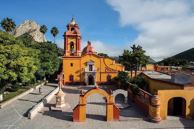 Visit to 3 Vineyards in the Region, departing from Querétaro - Freixenet Mexico and its underground cellar