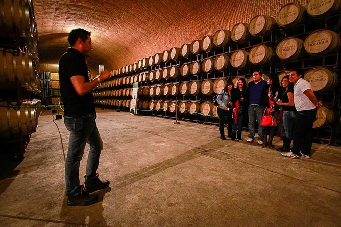 Visit to 3 Vineyards in the Region, departing from Querétaro - Food, timing, and the practical details