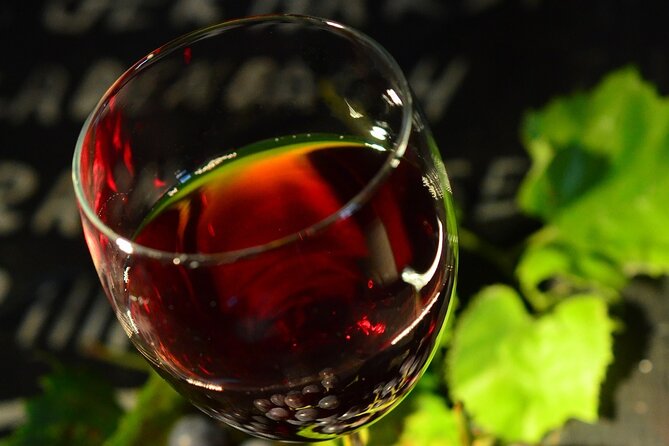 Visit to a local Vineyard - Four wines and a taste of local products