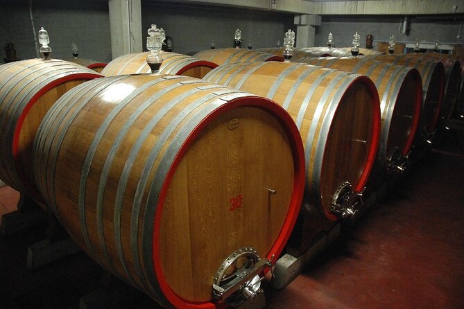 Visit to a Winery in Salento with Wine tasting and light lunch. From Lecce - Why a Salento winery visit adds something to Lecce