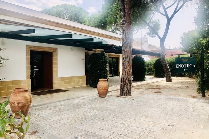 Visit to a Winery in Salento with Wine tasting and light lunch. From Lecce - What the $107.29 price covers in practical terms