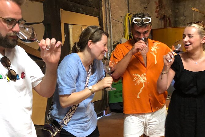 Visit to the Faugères Vineyards with Picnic from Béziers - Timing, group size, and practical planning
