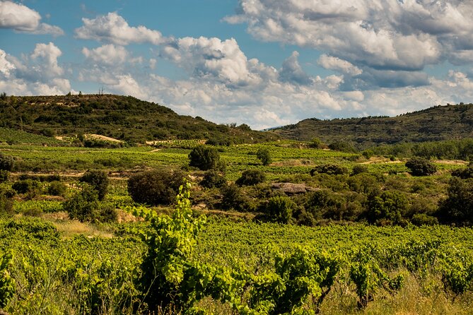 Visit to the winery with a tasting of 3 wines and appetizers - Is $43.25 a fair price?