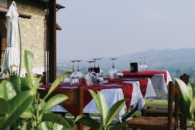 Visit winery and vineyards, tasting 4 wines with 3 matching dishes - Key points at a glance
