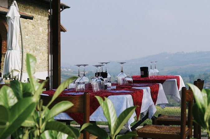 Visit winery and vineyards, tasting 4 wines with 3 matching dishes - What makes the guide matter
