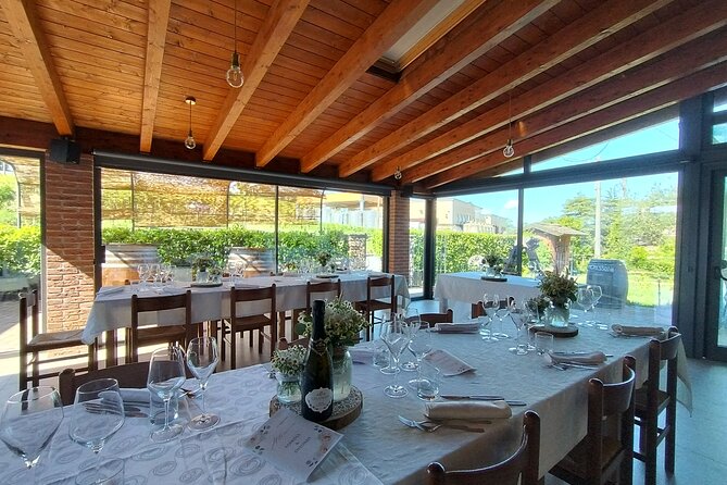 Visit winery and vineyards, tasting 4 wines with 3 matching dishes - The pace and practical timing