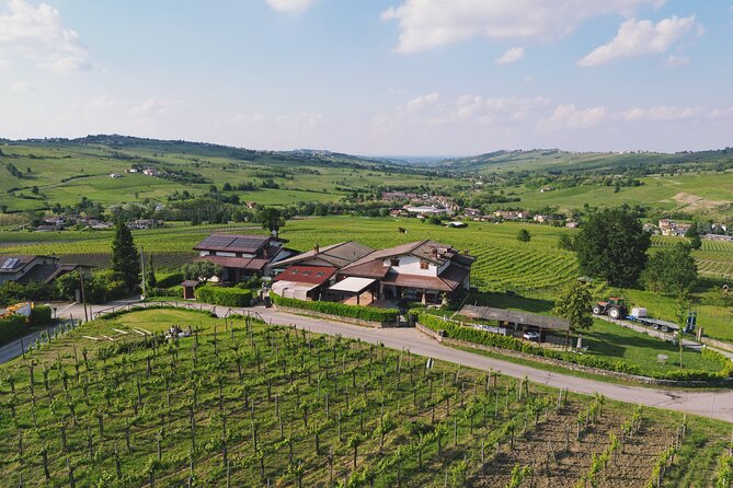 Visit winery and vineyards, tasting 4 wines with 3 matching dishes - From production cellar to aging cellar
