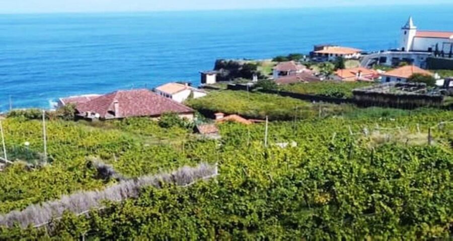 Visiting local Vineyard With Wine Tasting & Lunch included - Fajã dos Padres by cable car