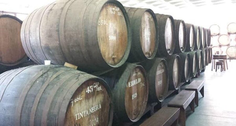 Visiting local Vineyard With Wine Tasting & Lunch included - Guides, vehicles, and the human side of the tour