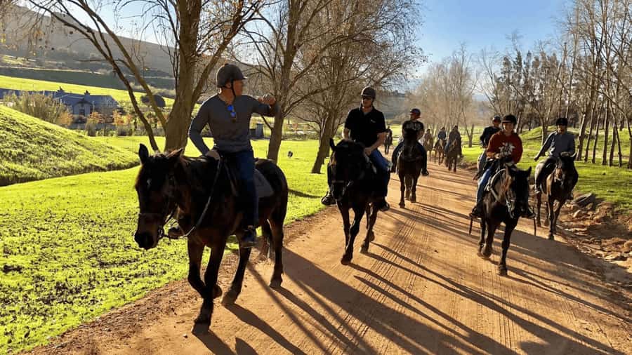Vrede en Lust Wine Estate:1-Hour Horseback Riding Experience - Key points to know before booking