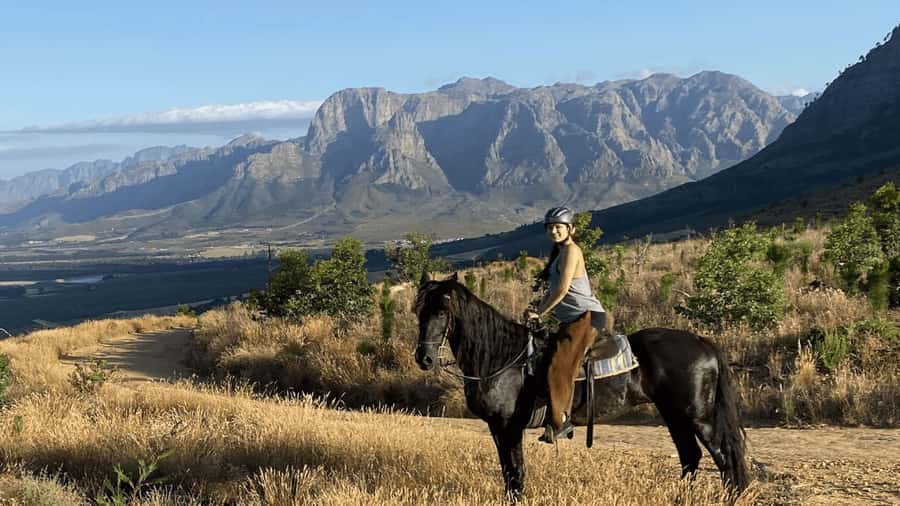 Vrede en Lust Wine Estate:1-Hour Horseback Riding Experience - Why this ride works well in Franschhoek