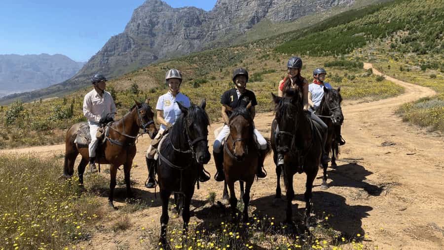 Vrede en Lust Wine Estate:1-Hour Horseback Riding Experience - Meeting the horses and guide