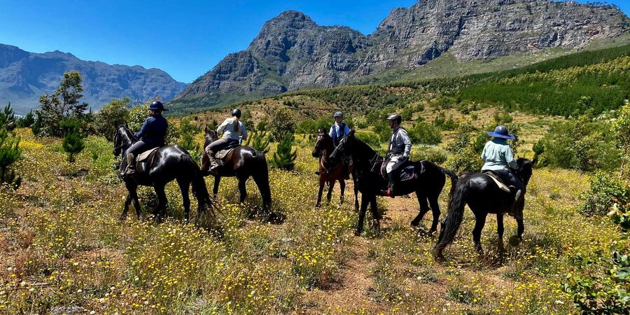Vrede en Lust Wine Estate:1-Hour Horseback Riding Experience - The value of $75 per person