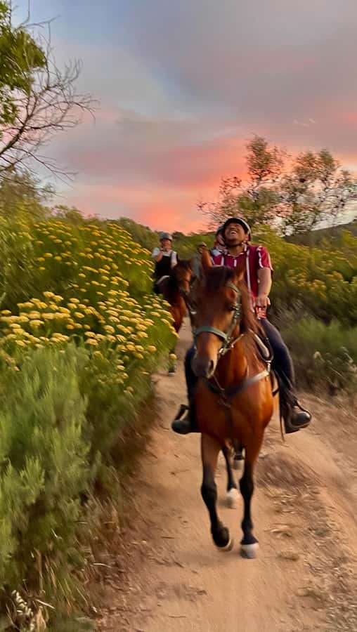 Vrede en Lust Wine Estate:1-Hour Horseback Riding Experience - Who should book this experience