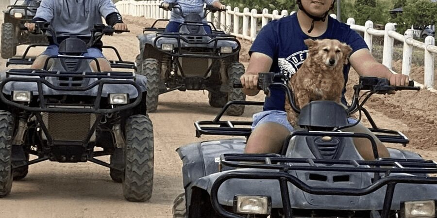 Vrede en Lust Wine Estate: 1H Quad Bike Trail - Who will enjoy this most?