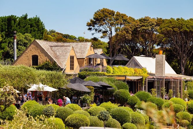 Waiheke Island Day Tour: Ziplining, Wine Tasting & Vineyard Lunch - Why this Waiheke day works so well