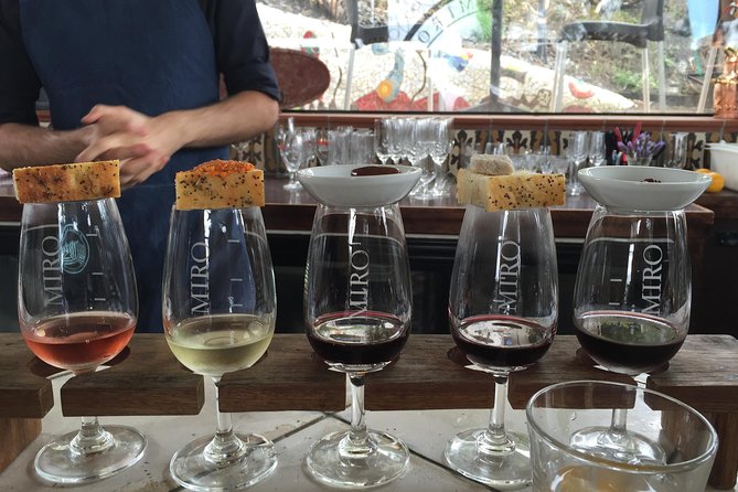 Waiheke Island Day Tour: Ziplining, Wine Tasting & Vineyard Lunch - The forest walk after the final line