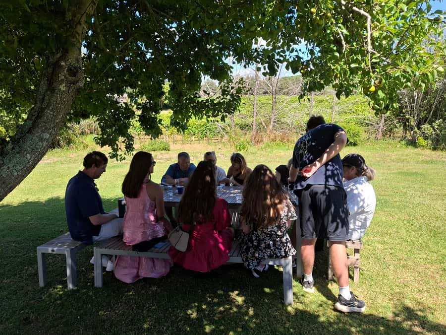 Waiheke Island: Sip and Savor 3 Vineyards Tour with Lunch - What the vehicle and group size mean for your day