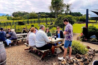 Waiheke Island Wine Tour with Scenic Vineyards & Tastings