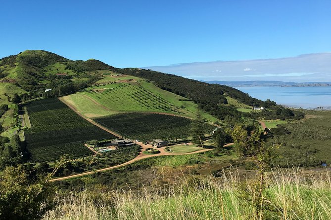 Waiheke Wine and Dine - Batch Winery - The hop-on hop-off question