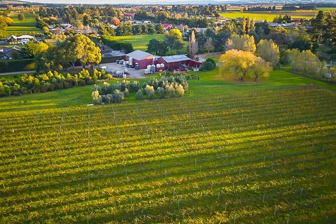 Waipara Valley Winery Tour Wine Tastings and Scenic Views - What the $235.20 price buys you