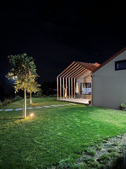 Walk among the rows of vineyards and wine tasting - A Sicilian winery visit built around food and conversation
