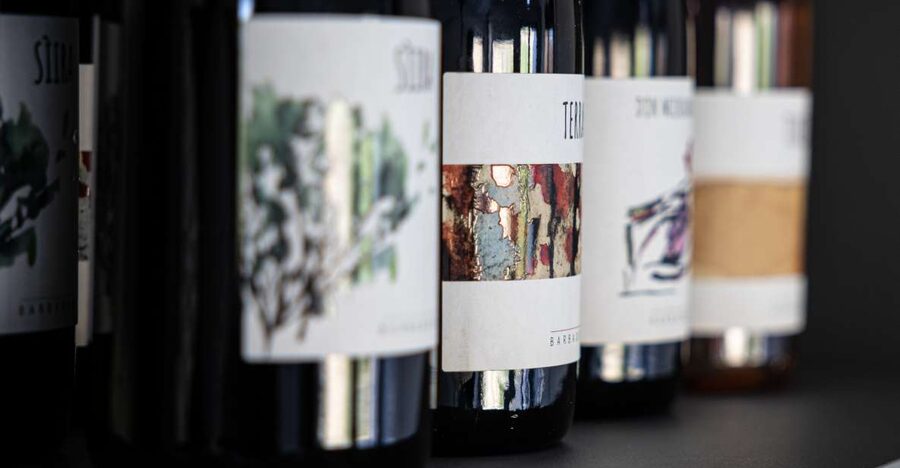 Walk among the rows of vineyards and wine tasting - Inside the cellar, where the grapes become wine