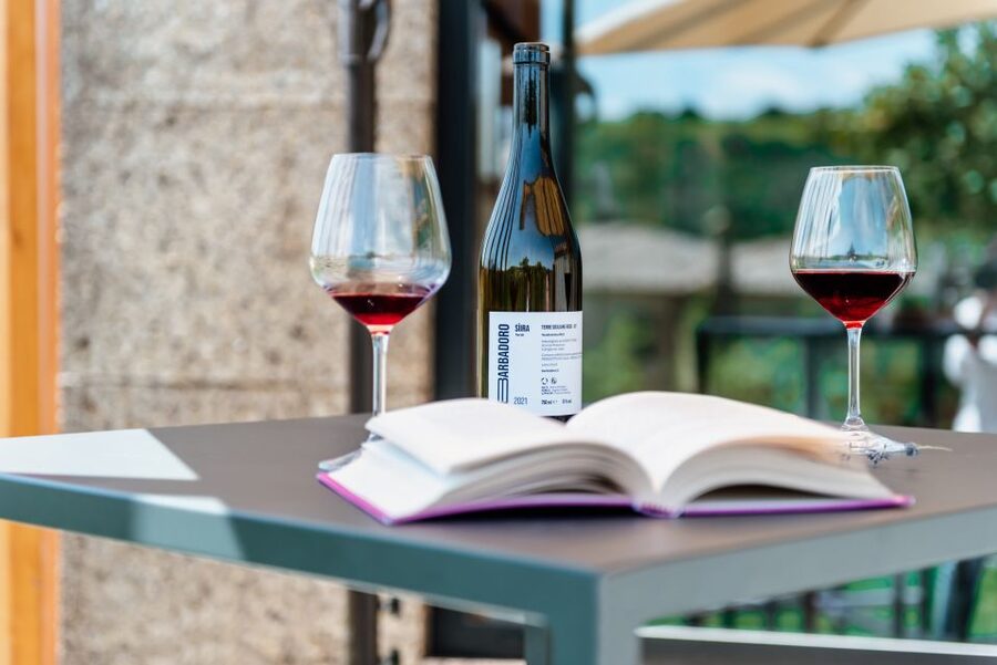 Walk among the rows of vineyards and wine tasting - Planning the two-hour visit