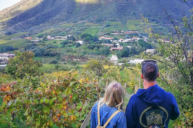 Walk through vineyards, breathtaking views and flavors of Salina - Salina capers and three local wines