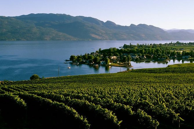 West Kelowna Wine Tour - Classic - 4 Wineries - What the West Kelowna route feels like
