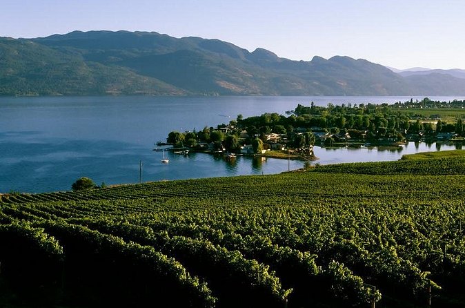 West Kelowna Wine Tour - Classic - 4 Wineries - Rollingdale Winery keeps the focus small and varied