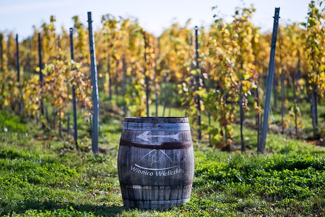 Wieliczka Vineyard: Wine tasting with local snacks - Four wines, not a rushed flight