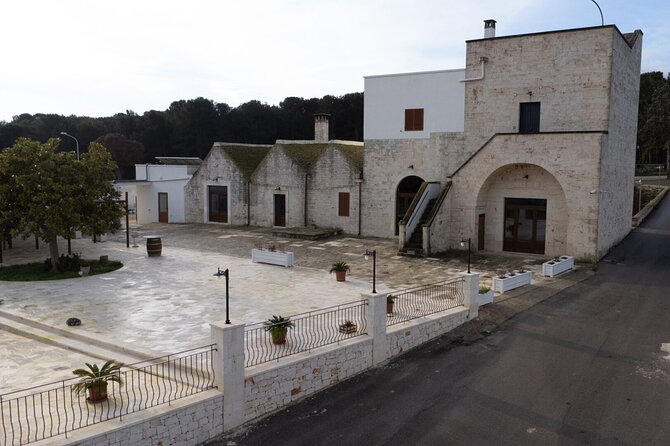Wine and Food Pairing Experience at Alberobello Winery - Key points to know before you book