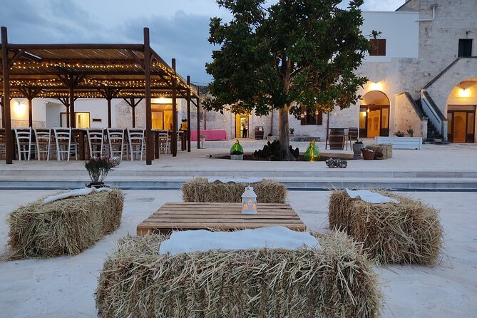 Wine and Food Pairing Experience at Alberobello Winery - Four wines and a table of Puglian flavors