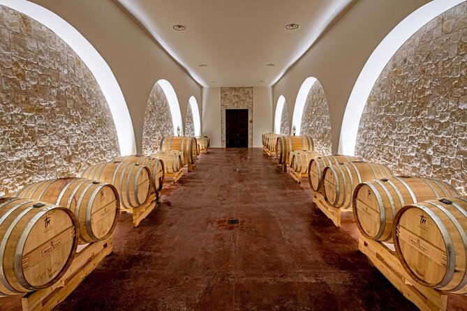 Wine and Food Pairing Experience at Alberobello Winery - The setting and the social side of the visit