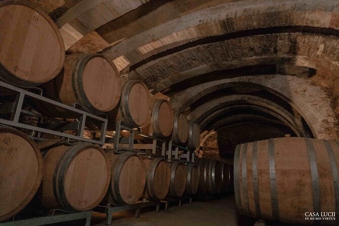 Wine and food tasting in an organic family winery - The vinsantaia and historic cellar