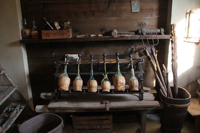 Wine and food tasting in an organic family winery - What the private format means