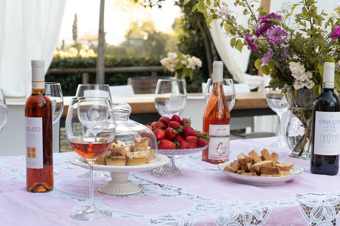Wine and food tasting in an organic family winery - Pickup from San Gimignano or Certaldo