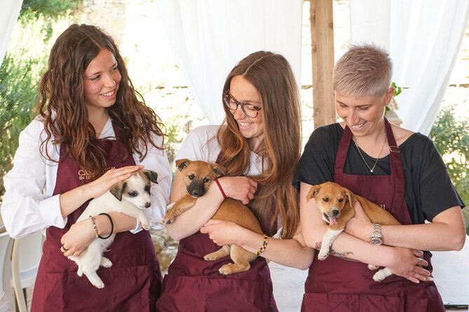 Wine and food tasting in an organic family winery - The welcome aperitivo sets the pace