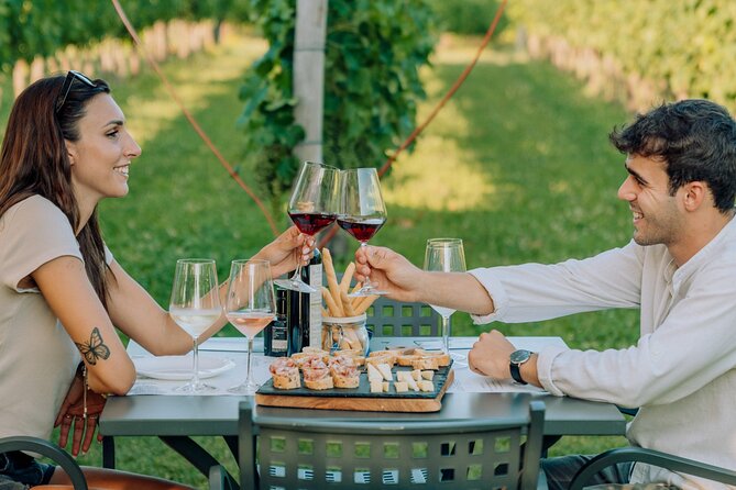 Wine and Food Tasting in the Vineyards in Lazise - A family vineyard 2 kilometers from Lazise