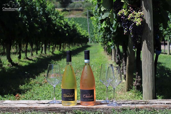 Wine and Food Tasting in the Vineyards in Lazise - Vineyard views and the limits of the tour