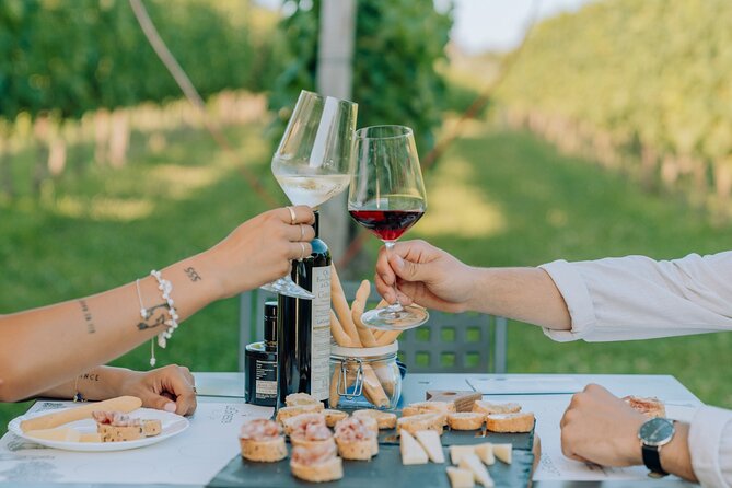 Wine and Food Tasting in the Vineyards in Lazise - Is the $50.81 price good value?