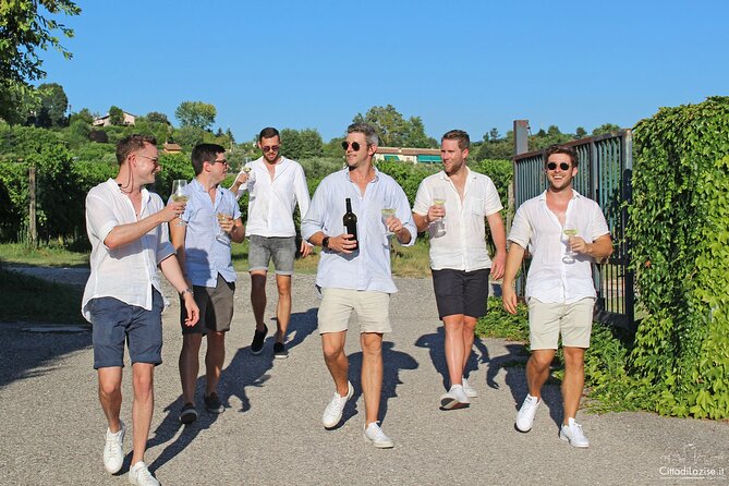 Wine and Food Tasting in the Vineyards in Lazise - Who should book this Lazise wine experience?