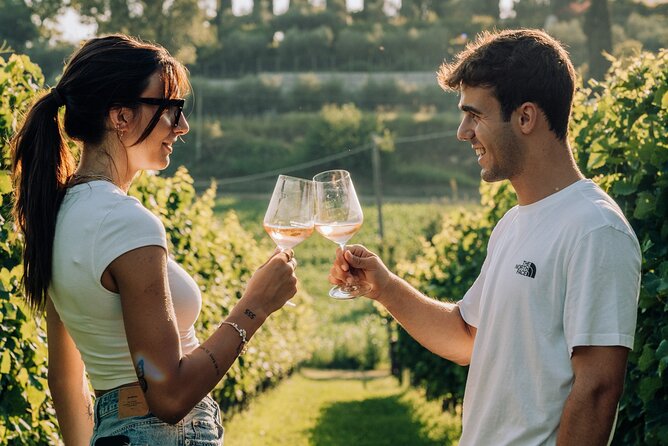 Wine and Food Tasting in the Vineyards in Lazise - Practical details before you reserve