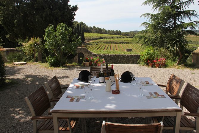 Wine & Cava Penedes Tour: Wineries, Wine Tasting and Tapas - From Barcelona to the Penedès wine country