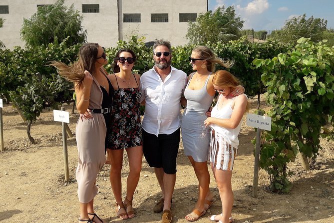 Wine & Cava Penedes Tour: Wineries, Wine Tasting and Tapas - Who will enjoy this Penedès day most