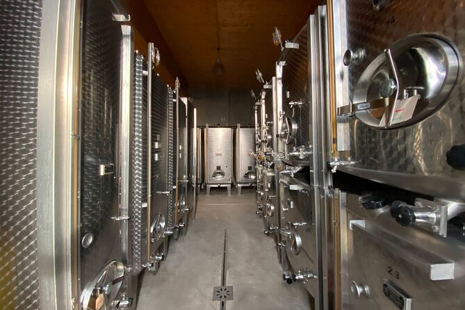 Wine cellar visit and feminine tasting - gourmet formula - Price and what you receive for $32.67